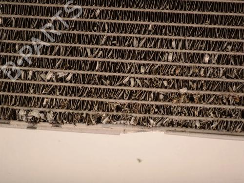 Water radiator BMW 3 (F30, F80) 320 d | BP30207189M31