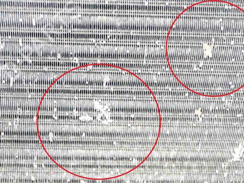 Front slam panel SEAT LEON (1M1) 1.4 16V | BP14661320C72