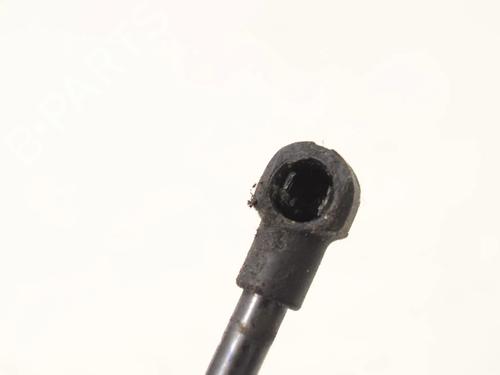 Hood lift support BMW 3 (E90) 320 i | BP30207872C139