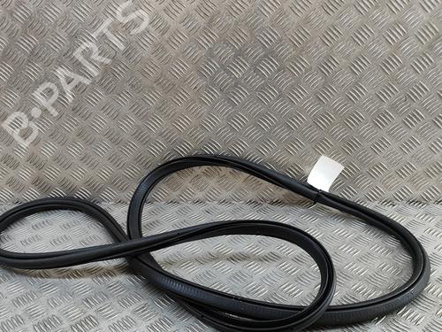 Rubber door seal POLESTAR POLESTAR 2 (534) EV | BP28446633C142