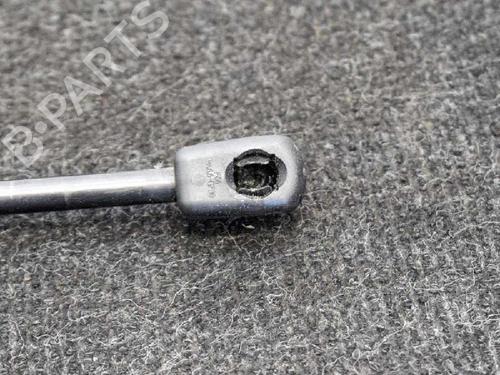 Hood lift support BMW 1 (F20) 120 d | BP14667239C139