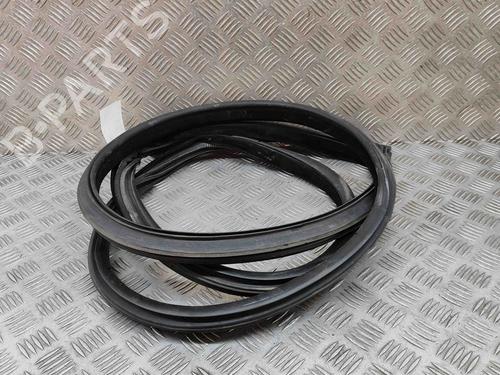 Gummilist BMW 4 Coupe (F32, F82) M4 (431 hp) 26500543