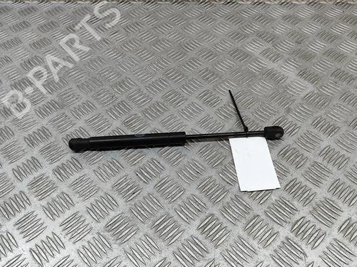 Used Hood lift support LAND ROVER RANGE ROVER EVOQUE (L538) 2.0 D 4x4 (180 hp) 24975784