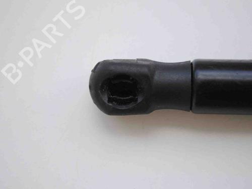 Amortecedor da mala BMW 3 (F30, F80) 328 i | BP30232766C138 