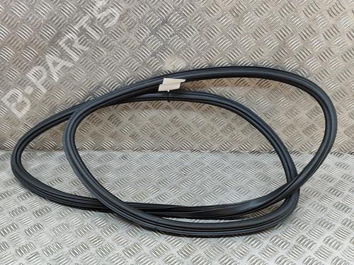 Rubber door seal AUDI Q5 (FYB, FYG) SQ5 TFSI quattro | BP19502622C142 