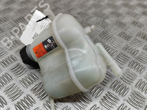 Expansion tank NISSAN QASHQAI II (J11, J11_) 1.2 DIG-T | BP22998828C120 