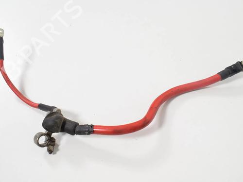 Used Cable JAGUAR S-TYPE II (X200) 2.7 D (207 hp) 9901398