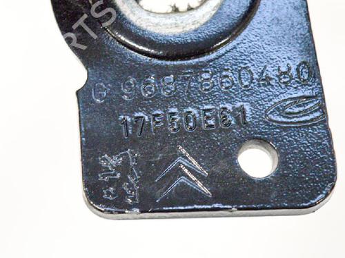 Hinge/Door check strap PEUGEOT 508 SW I (8E_) 1.6 BlueHDi 120 | BP14609600C146 