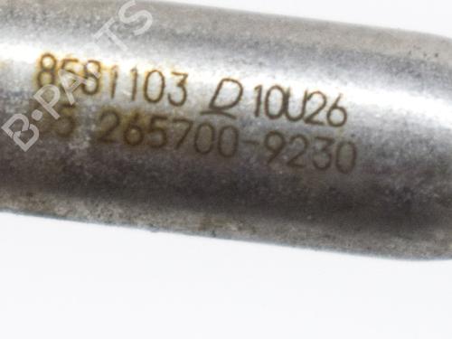 Elektronisk sensor BMW X3 (G01, F97, G08) xDrive 20 d | BP7798283M84 