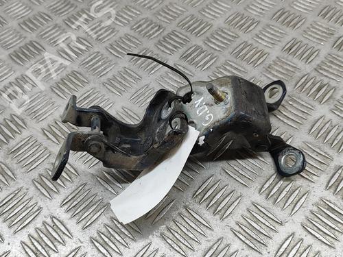 Hinge/Door check strap FORD USA F-150 4.2 4x4 | BP28557517C146 