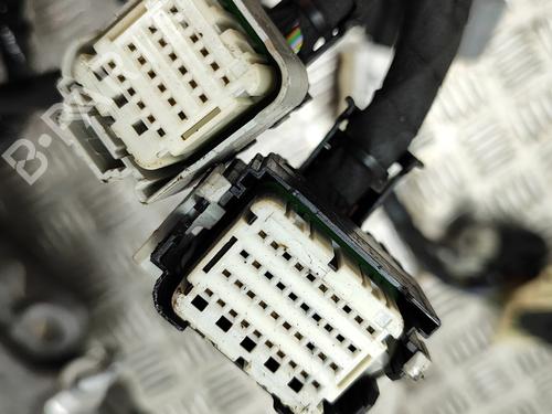 Engine FORD KUGA III (DFK) 2.5 Duratec PHEV | BP28562766M1