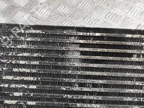 Oil radiator JEEP WRANGLER III (JK) 3.6 V6 | BP24976423M33 