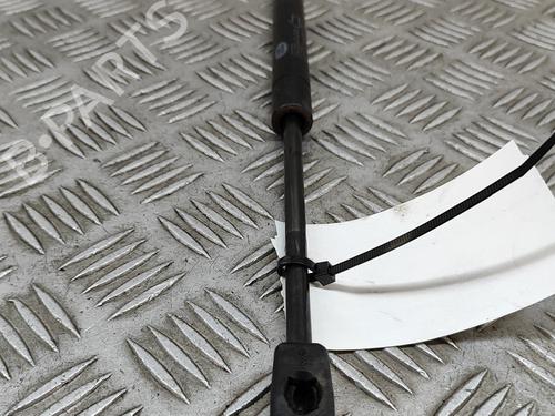 Hood lift support LAND ROVER RANGE ROVER EVOQUE (L538) 2.2 D 4x4 | BP26142570C139 