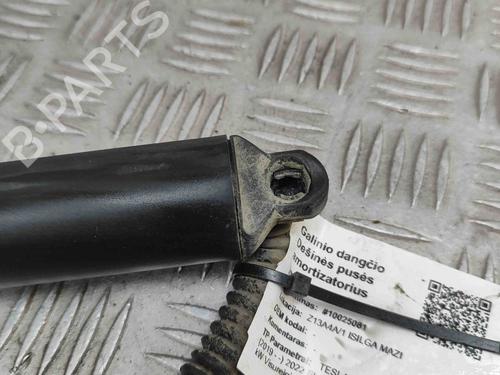 Tailgate lift support TESLA MODEL Y (5YJY) EV Performance All-wheel Drive | BP28558147C138