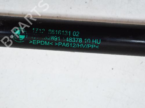 Pipe BMW 3 (F30, F80) 330 e | BP14644735M125 