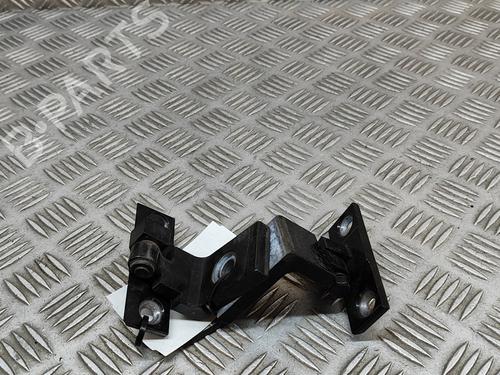 Hinge/Door check strap BMW X6 (E71, E72) xDrive 40 d | BP19937095C146 