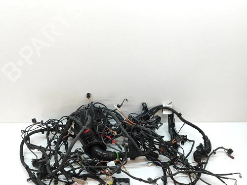 Used Wiring harness MERCEDES-BENZ EQS (V297) EQS 450+ (297.123) (333 hp) 28557038