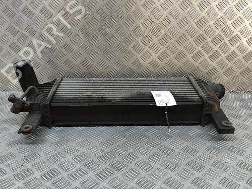 Intercooler NISSAN PATHFINDER III (R51) 2.5 dCi 4WD | BP18036486M30 