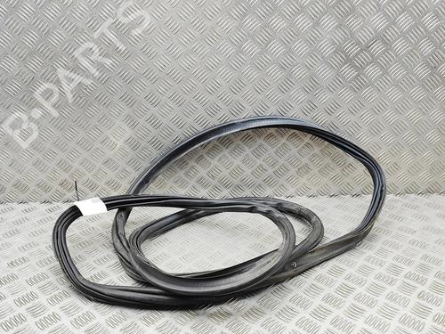 Gummiliste BMW X6 (E71, E72) xDrive 40 d | BP30130996C142 - Image 2