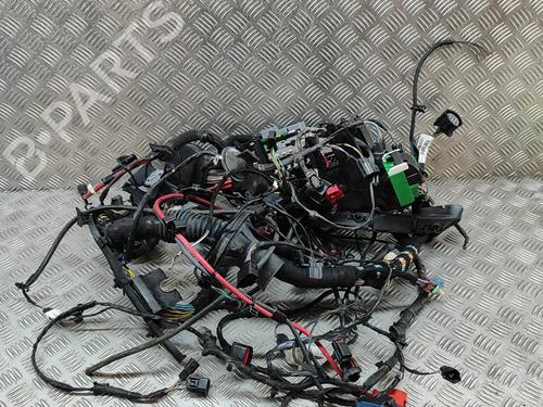 Used Wiring harness LAND ROVER RANGE ROVER EVOQUE (L538) 2.2 D 4x4 (190 hp) 22443894