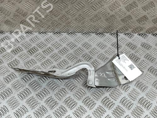 hingedoor-check-strap-renault-twingo-ii-cn0_-2007-23248874 main image