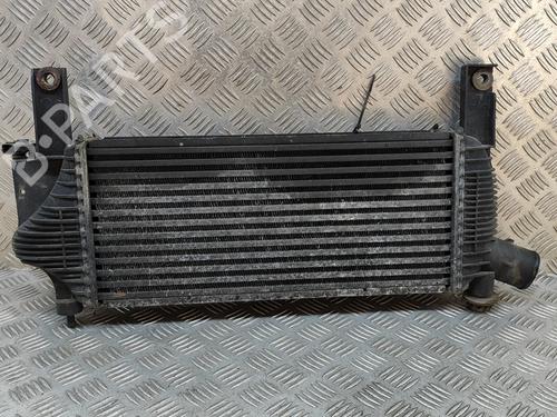 Intercooler NISSAN PATHFINDER III (R51) 2.5 dCi 4WD | BP18036486M30 