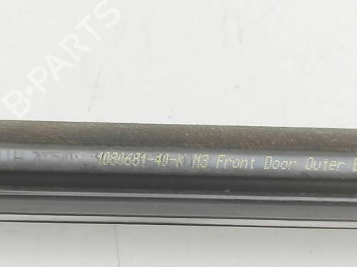 Dørliste TESLA MODEL 3 (5YJ3) EV Performance AWD | BP33697729C150  - Image 6