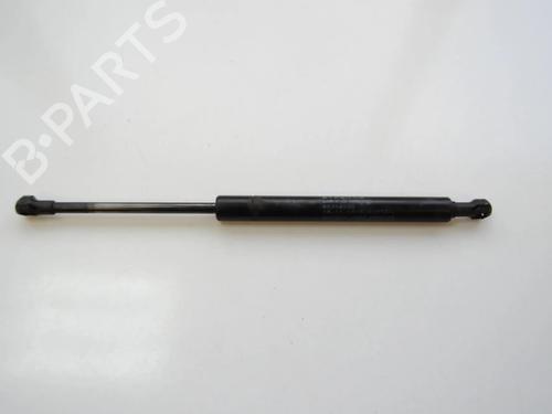 tailgate-lift-support-lexus-gs-_s19_-2005-2006-2007-2008-2009-2010-2011-2012-33359866 main image