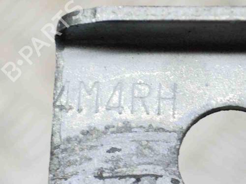 Hinge/Door check strap NISSAN PATHFINDER III (R51) 2.5 dCi | BP14629957C146