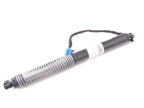 Used Tailgate lift support BMW X6 (G06, F96) xDrive M50 i (530 hp) 30214409