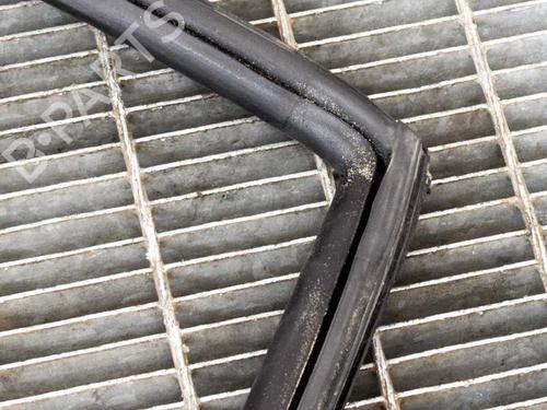 Gummiliste TESLA MODEL S (5YJS) 75 | BP20231383C142 
