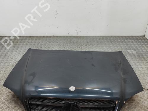Used Hood MERCEDES-BENZ M-CLASS (W163) ML 270 CDI (163.113) (163 hp) 28302655