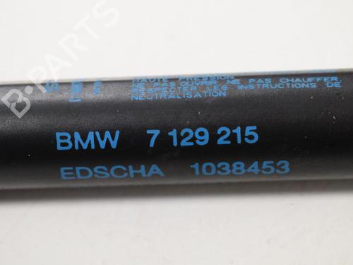 Tailgate lift support BMW 3 Convertible (E93) 335 i | BP30257777C138 