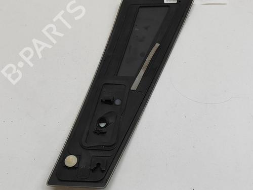 Door moulding trim TESLA MODEL S (5YJS) P100D AWD | BP28498035C150
