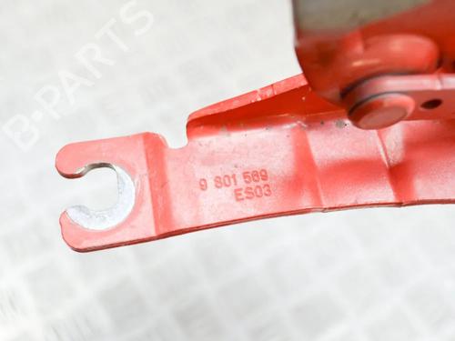 Hinge/Door check strap MINI MINI COUNTRYMAN (R60) Cooper | BP14628837C146 