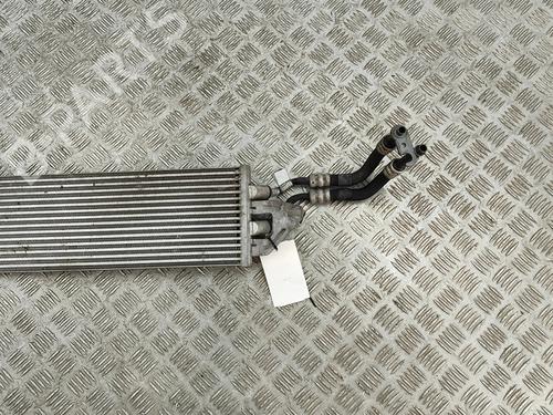 Oil radiator MAN TGE Van 2.0 TDI (01V, 03V, 36V, UYB, UYC, UYD) | BP31976755M33