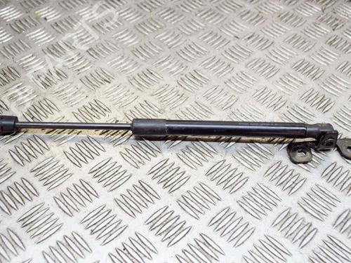 Used Hood lift support TESLA MODEL 3 (5YJ3) EV AWD (351 hp) 27754987