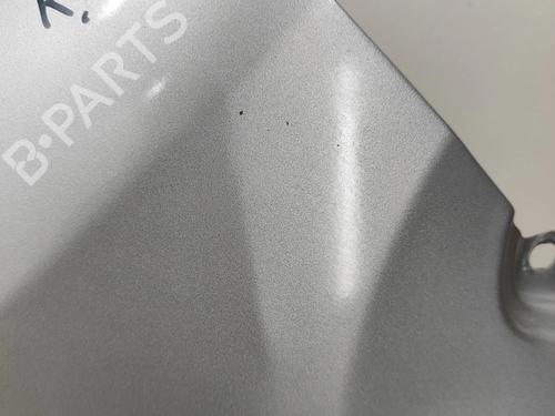 Left front fenders CITROËN JUMPER II Van 2.0 BlueHDi 130 | BP29890724C41 