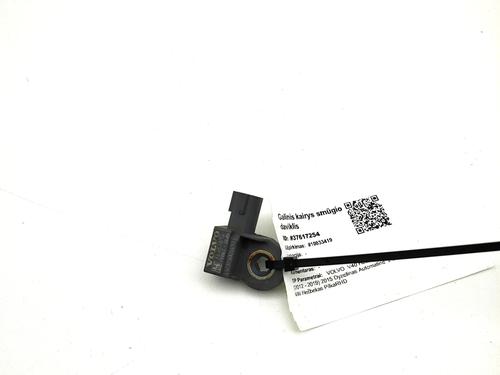 Elektronensonde für Elektronensonde 38267933 38267933