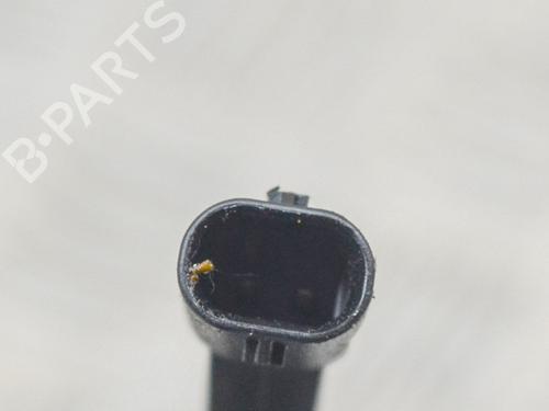 Injector BMW X1 (F48) xDrive 25 i | BP7698567M100 