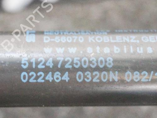 Hinge/Door check strap BMW 3 (E90) 325 i | BP14657836C146 