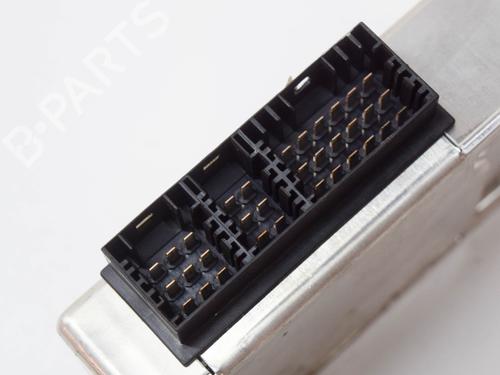Electronic module LAND ROVER RANGE ROVER SPORT I (L320) 3.0 D 4x4 | BP10402465M83 