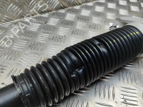 Left rear shock absorber KIA SPORTAGE V (NQ5) 1.6 T-GDi Hybrid | BP28435809M18 