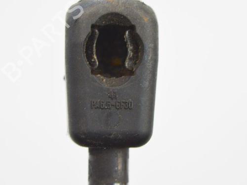 Hood lift support MERCEDES-BENZ E-CLASS Coupe (C207) E 350 CDI (207.322) | BP14608077C139 