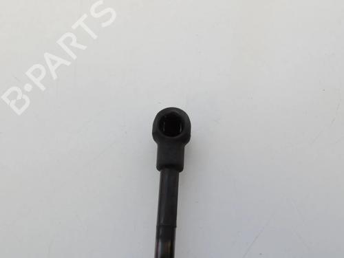 Tailgate lift support LEXUS GS (_S19_) 300 (GRS190_, GRS190R) | BP30245021C138