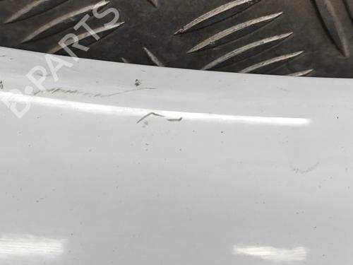 Left front fenders RENAULT MASTER III Van (FV) 2.3 dCi 145 FWD (FV0E, FV0F, FV0H, FV02, FV0M, FV0S,... | BP30082318C41
