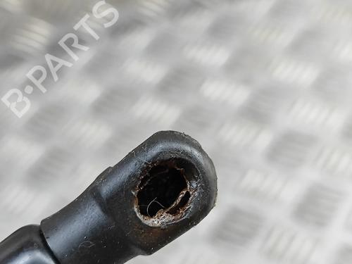 Tailgate lift support AUDI A1 (8X1, 8XK) S1 quattro | BP28435141C138 