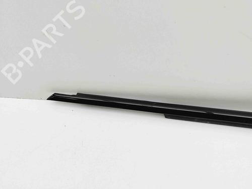 Door moulding trim BMW 5 (G30, F90) 530 e Plug-in-Hybrid xDrive | BP29488313C150 