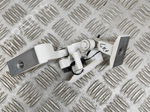 Hinge/Door check strap BMW 3 Touring (F31) 335 d xDrive | BP26153758C146