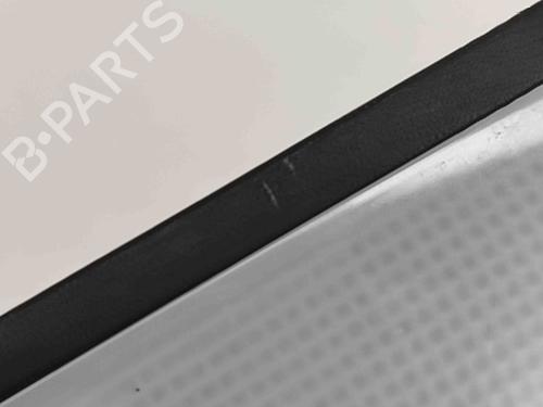 Interior roof light NISSAN JUKE (F16_) DIG-T 117 | BP27774893I8